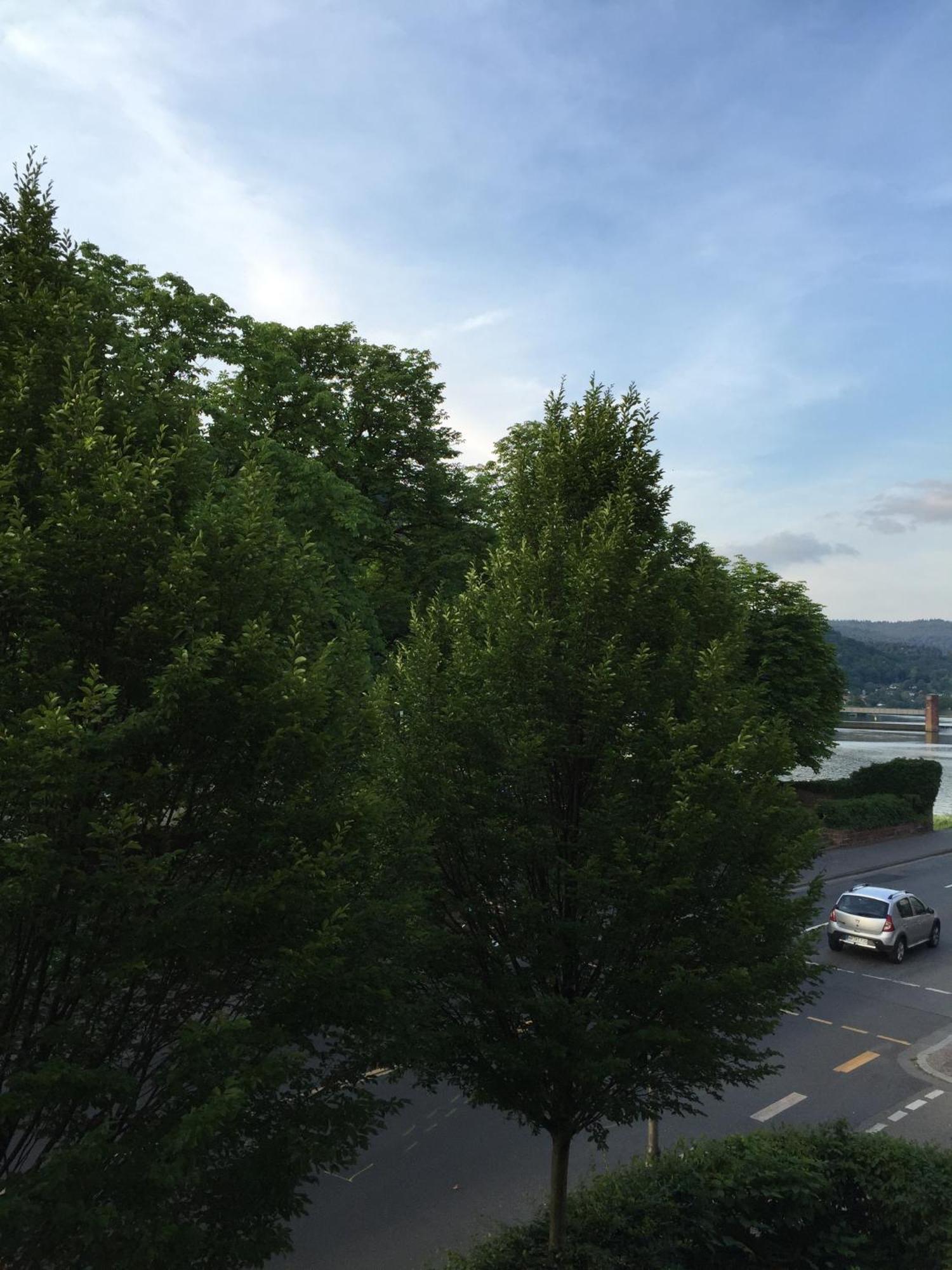Zur Alten Brücke Heidelberg
